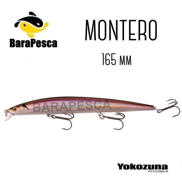 Yokozuna Montero 165mm
